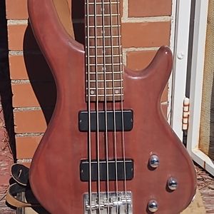 Pegasus Bass Guitar